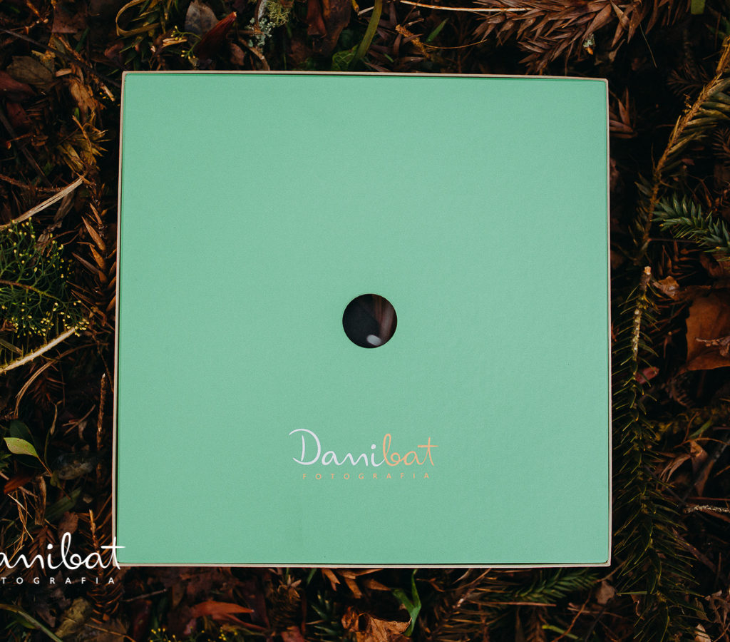danibat0012