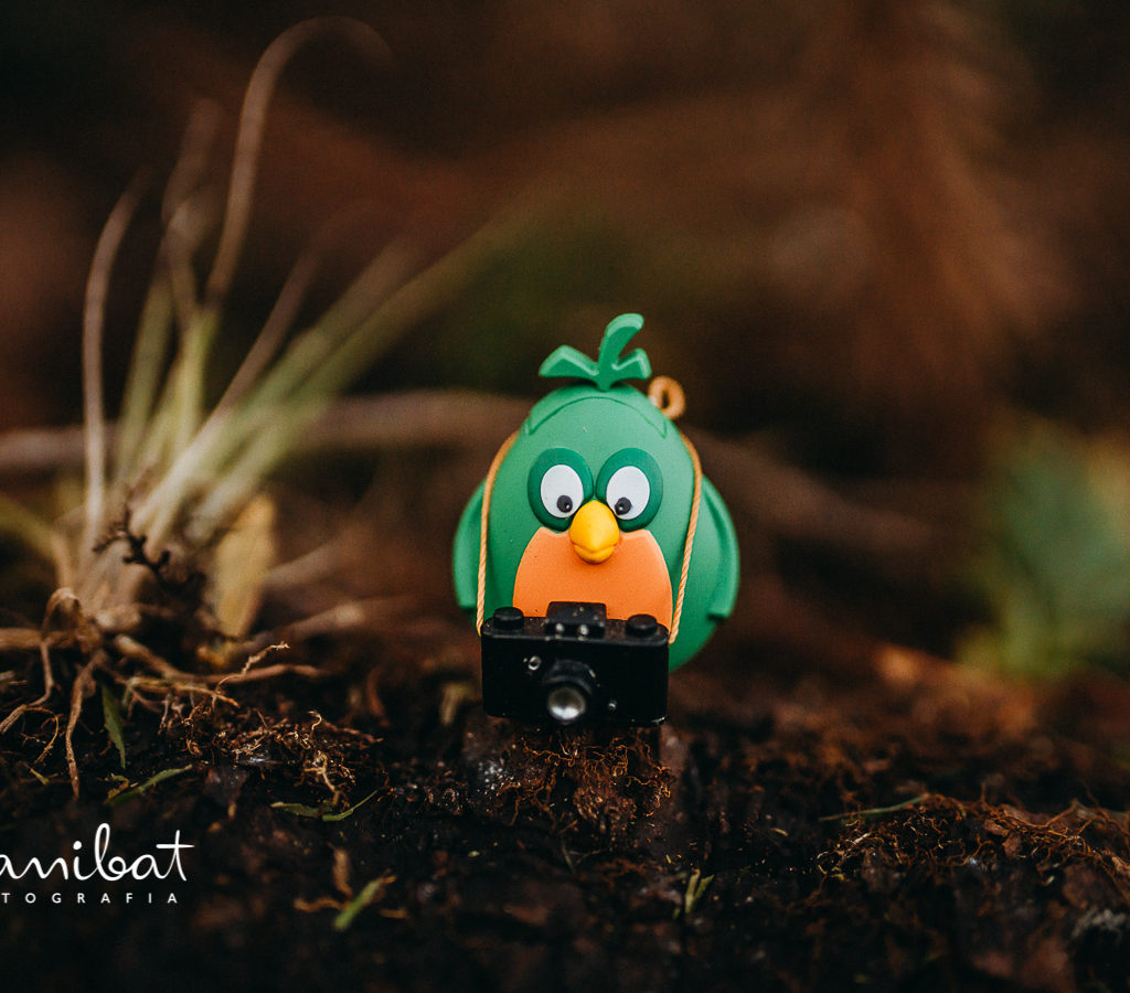 danibat0033