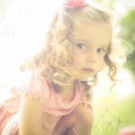 SONY DSC
