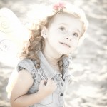 SONY DSC